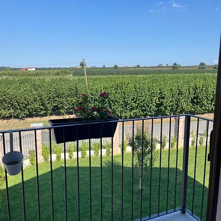 La Porta Delle Meraviglie